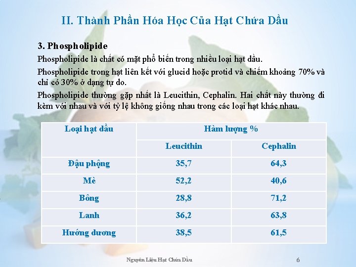 II. Thành Phần Hóa Học Của Hạt Chứa Dầu 3. Phospholipide là chất có