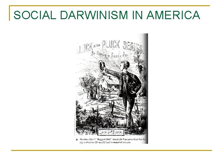 SOCIAL DARWINISM IN AMERICA 