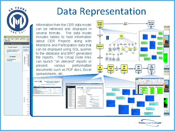 Data Representation Information from the CER data model can be retrieved and displayed in