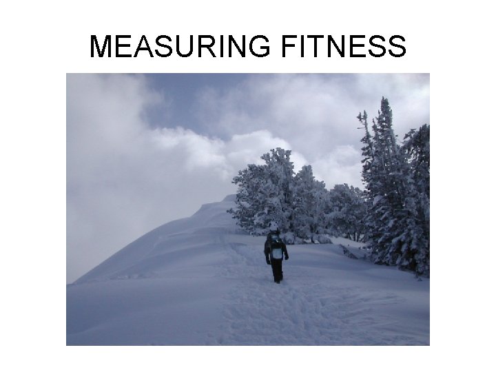 MEASURING FITNESS 