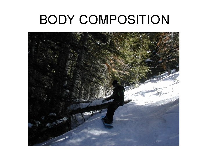 BODY COMPOSITION BODY COMPOSITION