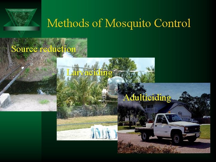 Methods of Mosquito Control Source reduction Larvaciding Adulticiding 