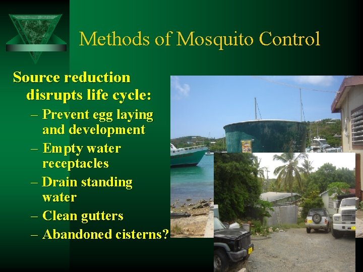 Methods of Mosquito Control Source reduction disrupts life cycle: – Prevent egg laying and