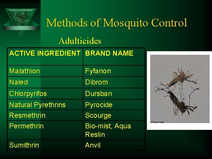 Methods of Mosquito Control Adulticides ACTIVE INGREDIENT BRAND NAME Malathion Fyfanon Naled Dibrom Chlorpyrifos