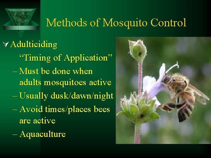 Methods of Mosquito Control Ú Adulticiding “Timing of Application” – Must be done when