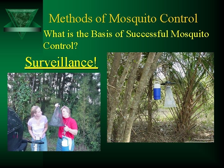 Methods of Mosquito Control What is the Basis of Successful Mosquito Control? Surveillance! 