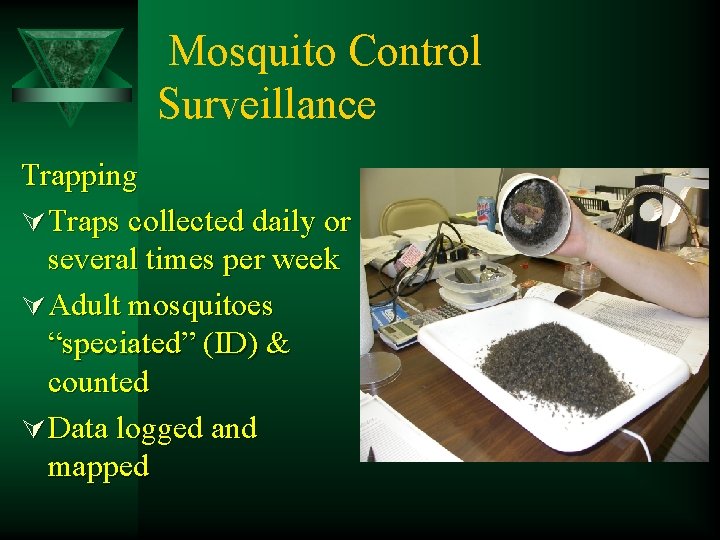 Mosquito Control Surveillance Trapping Ú Traps collected daily or several times per week Ú