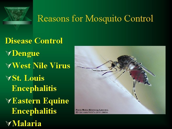 Reasons for Mosquito Control Disease Control ÚDengue ÚWest Nile Virus ÚSt. Louis Encephalitis ÚEastern