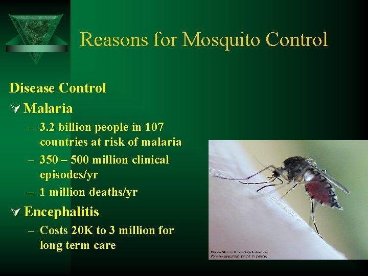 Reasons for Mosquito Control Disease Control Ú Malaria – 3. 2 billion people in