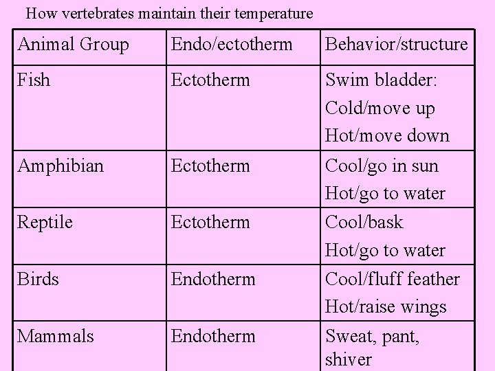 How vertebrates maintain their temperature Animal Group Endo/ectotherm Behavior/structure Fish Ectotherm Swim bladder: Cold/move