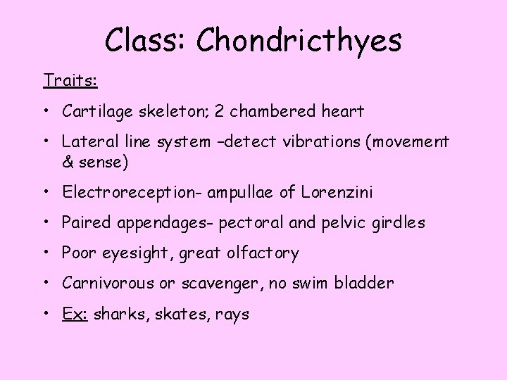 Class: Chondricthyes Traits: • Cartilage skeleton; 2 chambered heart • Lateral line system –detect