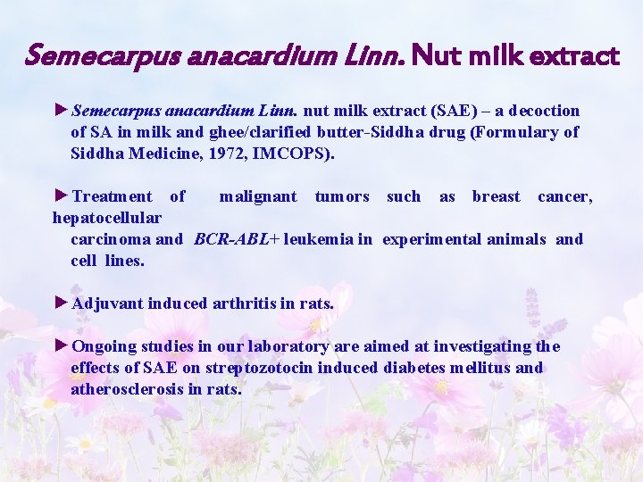 Semecarpus anacardium Linn. Nut milk extract ►Semecarpus anacardium Linn. nut milk extract (SAE) –