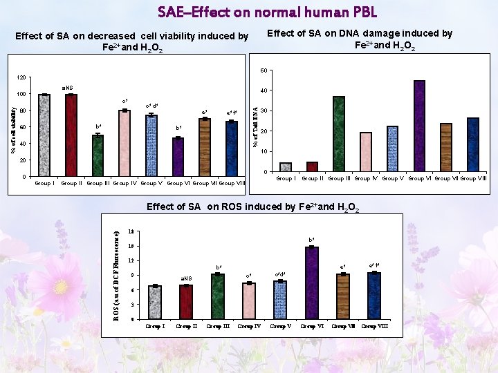 SAE–Effect on normal human PBL Effect of SA on DNA damage induced by Fe