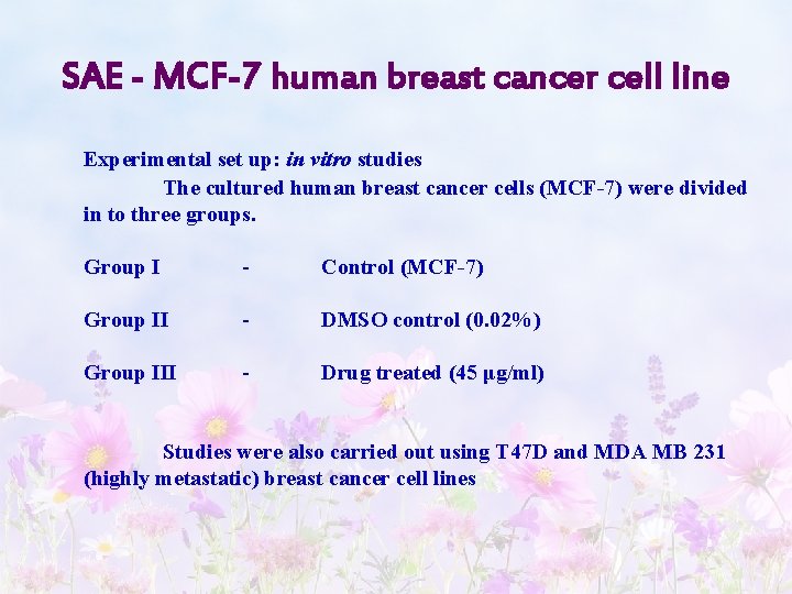 SAE - MCF-7 human breast cancer cell line Experimental set up: in vitro studies