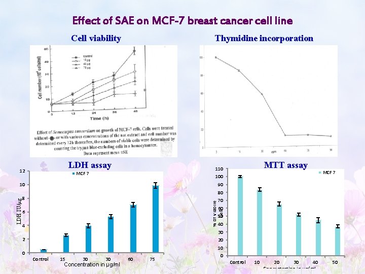 Effect of SAE on MCF-7 breast cancer cell line Cell viability Thymidine incorporation LDH