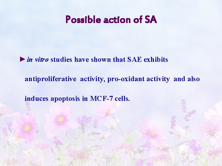 Possible action of SA ►in vitro studies have shown that SAE exhibits antiproliferative activity,