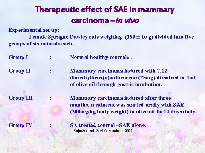 Therapeutic effect of SAE in mammary carcinoma –in vivo Experimental set up: Female Sprague