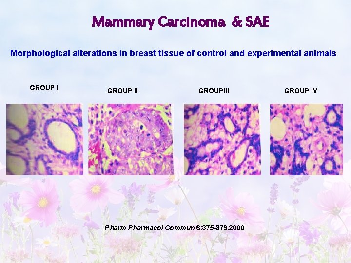 Mammary Carcinoma & SAE Morphological alterations in breast tissue of control and experimental animals