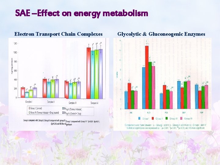 SAE –Effect on energy metabolism Electron Transport Chain Complexes Glycolytic & Gluconeogenic Enzymes 