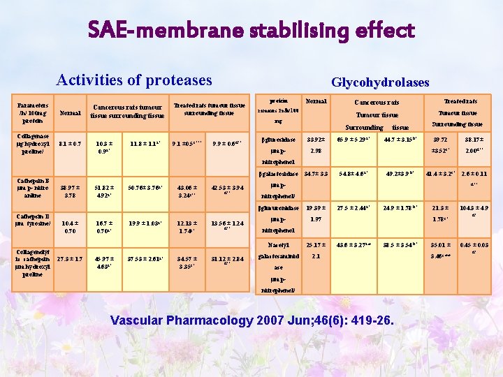 SAE-membrane stabilising effect Activities of proteases Parameters /h/ 100 mg protein Normal Collagenase μg