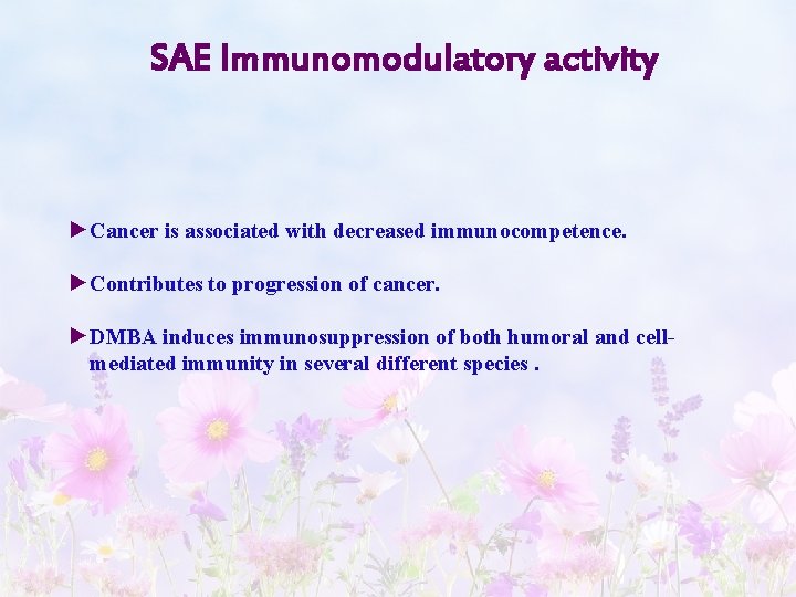 SAE Immunomodulatory activity ►Cancer is associated with decreased immunocompetence. ►Contributes to progression of cancer.