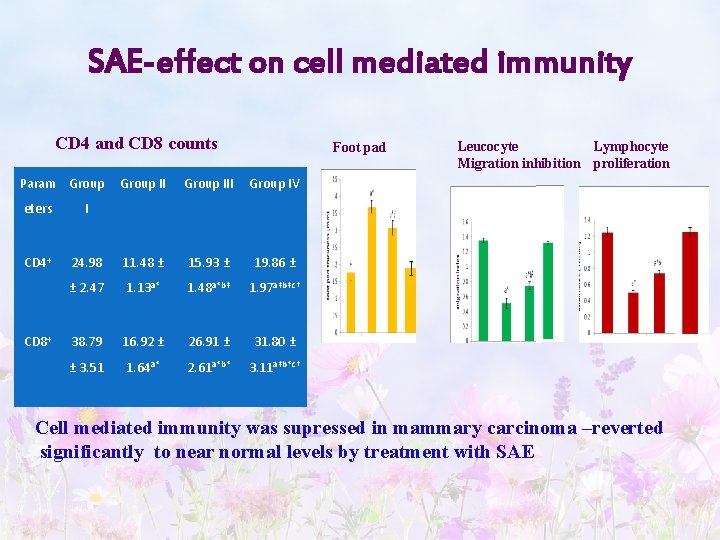 SAE-effect on cell mediated immunity CD 4 and CD 8 counts Param Group Foot