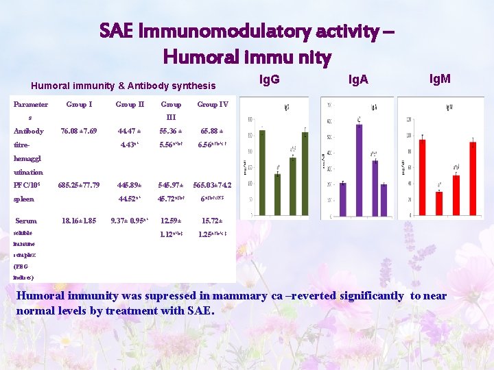 SAE Immunomodulatory activity – Humoral immu nity Humoral immunity & Antibody synthesis Parameter Group