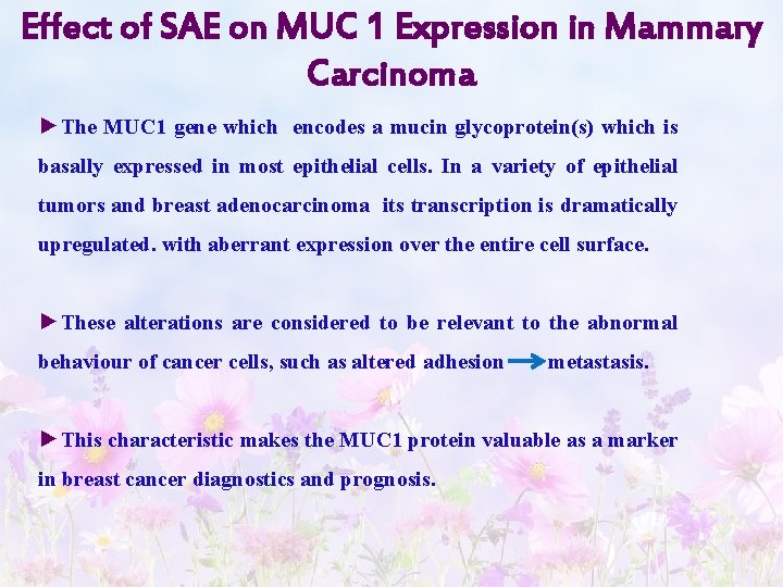 Effect of SAE on MUC 1 Expression in Mammary Carcinoma ►The MUC 1 gene