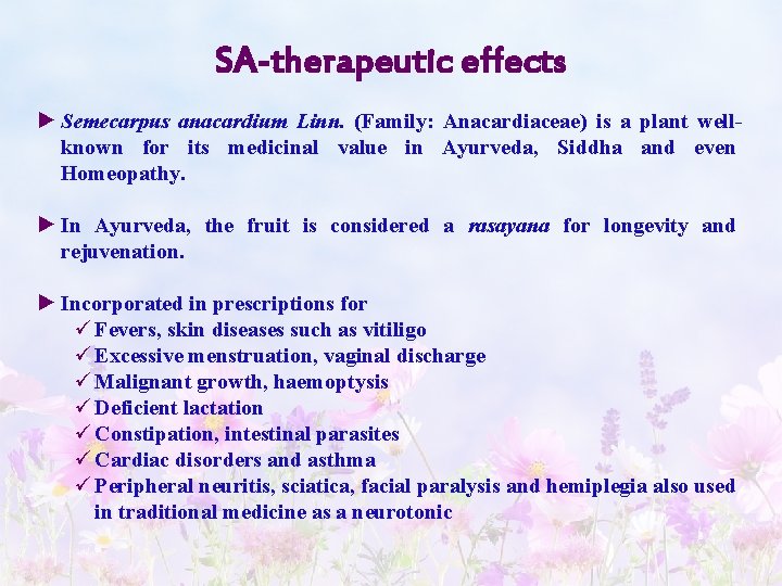 SA-therapeutic effects ► Semecarpus anacardium Linn. (Family: Anacardiaceae) is a plant wellknown for its