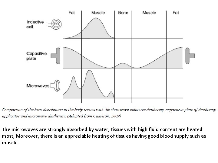 The microwaves are strongly absorbed by water, tissues with high fluid content are heated