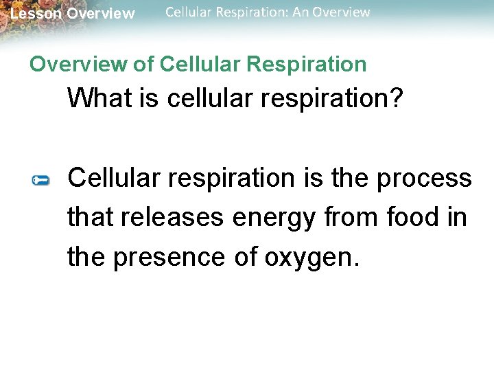 Lesson Overview Cellular Respiration: An Overview of Cellular Respiration What is cellular respiration? Cellular