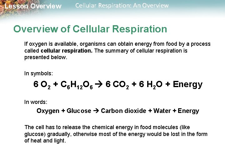Lesson Overview Cellular Respiration: An Overview of Cellular Respiration If oxygen is available, organisms