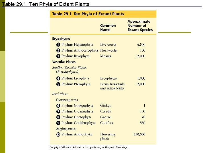 Table 29. 1 Ten Phyla of Extant Plants 