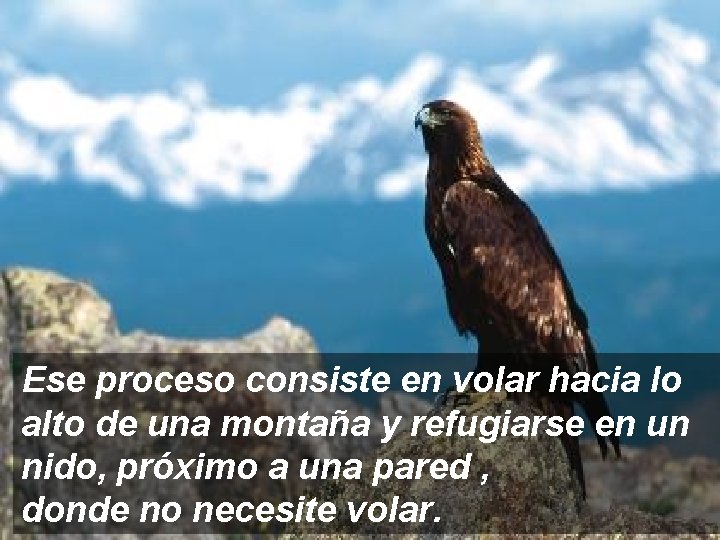 Ese proceso consiste en volar hacia lo alto de una montaña y refugiarse en