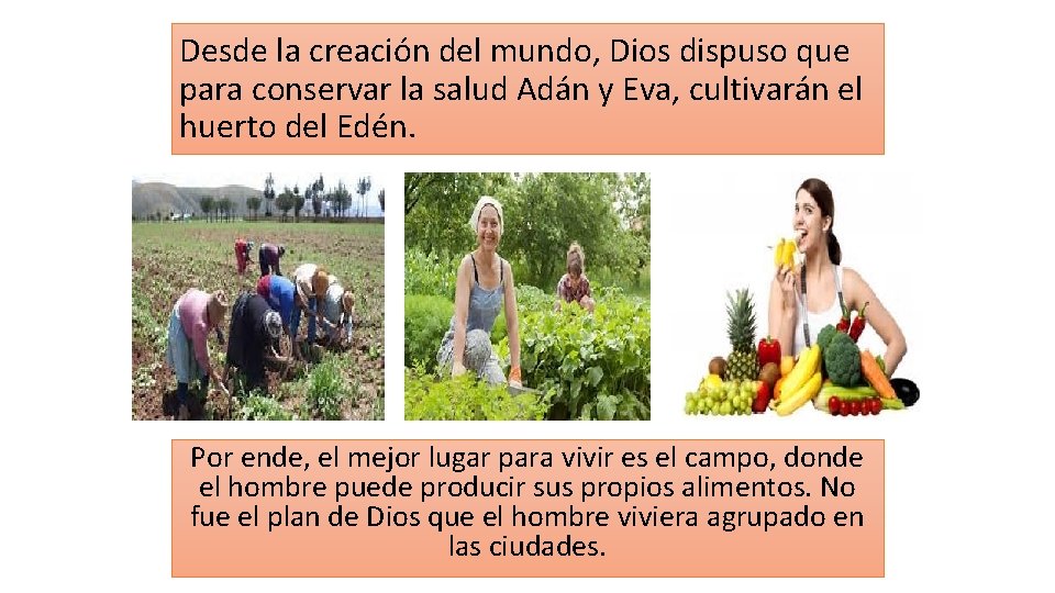 Desde la creación del mundo, Dios dispuso que para conservar la salud Adán y Desde la creación del mundo, Dios dispuso que para conservar la salud Adán y