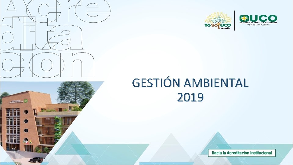 GESTIÓN AMBIENTAL 2019 