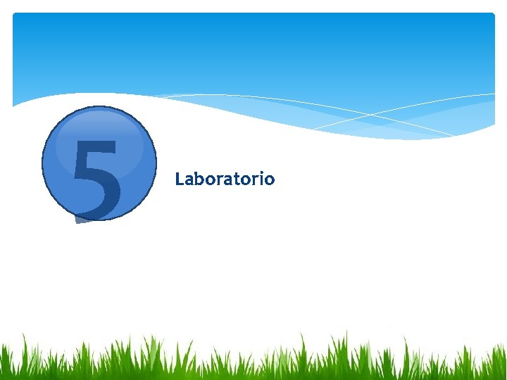 5 Laboratorio 