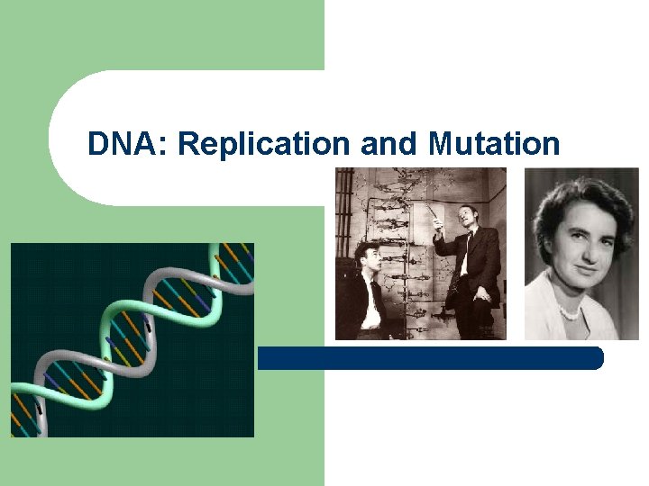 DNA: Replication and Mutation 