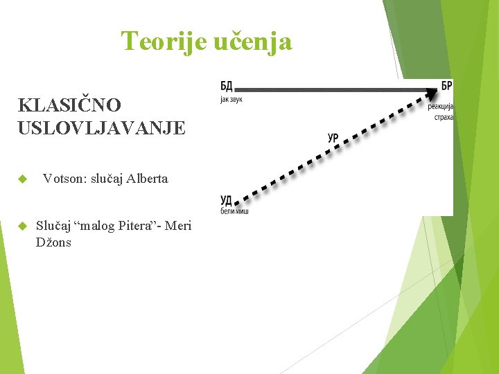 Teorije učenja KLASIČNO USLOVLJAVANJE Votson: slučaj Alberta Slučaj “malog Pitera”- Meri Džons 