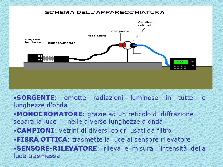 • SORGENTE: emette radiazioni luminose in tutte le lunghezze d’onda • MONOCROMATORE: grazie • SORGENTE: emette radiazioni luminose in tutte le lunghezze d’onda • MONOCROMATORE: grazie