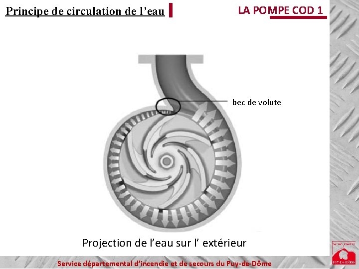 Principe de circulation de l’eau LA POMPE COD 1 bec de volute Projection de