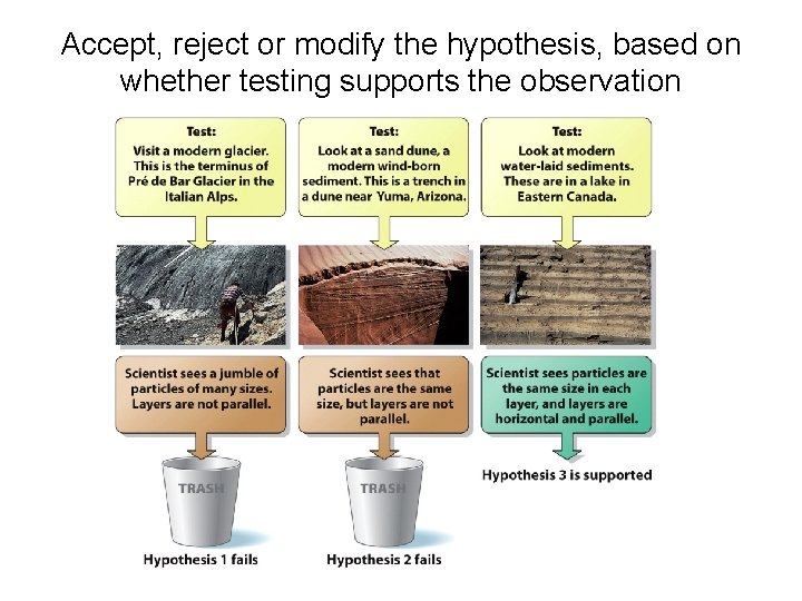 Accept, reject or modify the hypothesis, based on whether testing supports the observation 