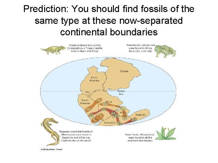 Prediction: You should find fossils of the same type at these now-separated continental boundaries