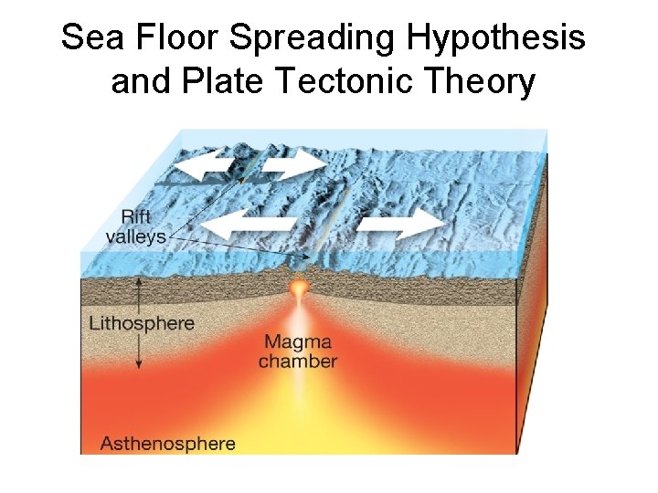 Sea Floor Spreading Hypothesis and Plate Tectonic Theory 