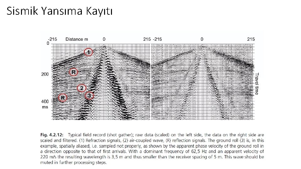 Sismik Yansıma Kayıtı 