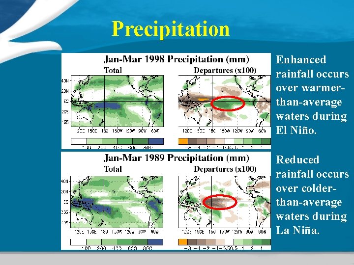 Precipitation Enhanced rainfall occurs over warmerthan-average waters during El Niño. Reduced rainfall occurs over