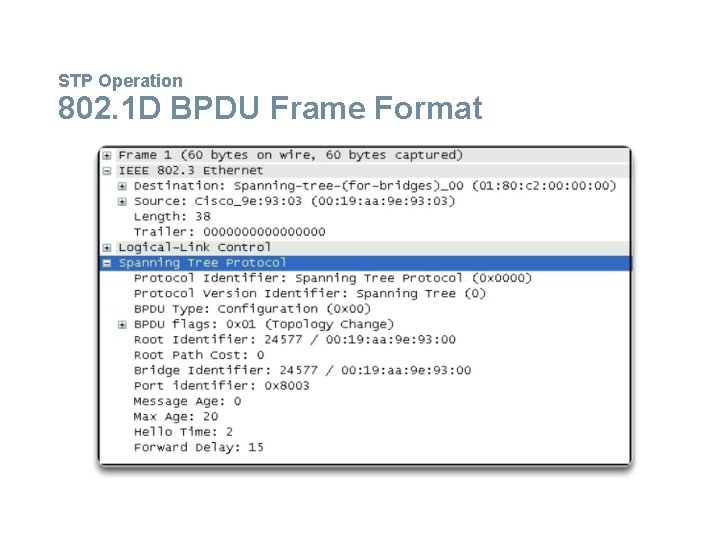 STP Operation 802. 1 D BPDU Frame Format 