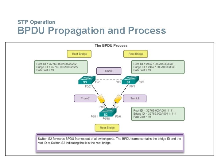 STP Operation BPDU Propagation and Process 