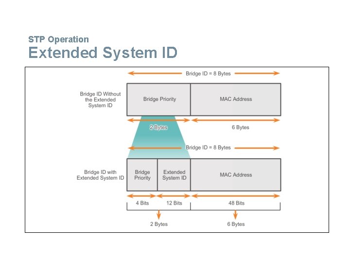 STP Operation Extended System ID 