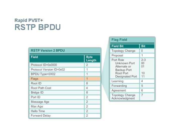 Rapid PVST+ RSTP BPDU 